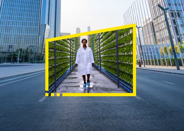 ey-reframe-your-future-financial-district-vertical-farm-static-no-zoom-article