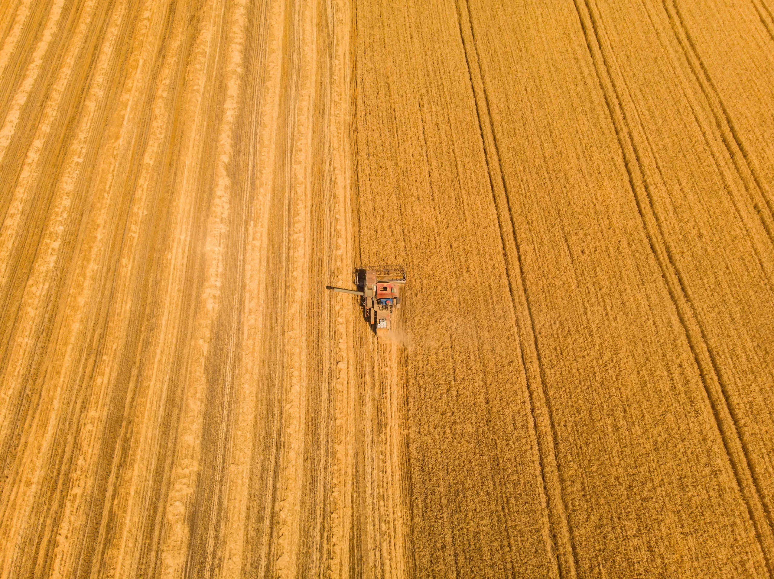 کشاورزی هوشمند و فناوری AgriTech در ایران: فرصت‌ها، چالش‌ها و مدل‌های سرمایه‌گذاری