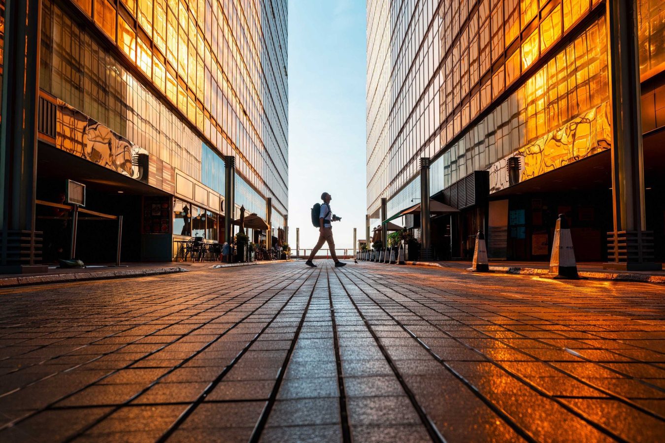 روندهای کلان EY (EY Megatrends)